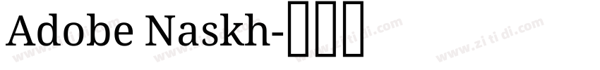 Adobe Naskh字体转换